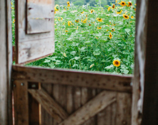 The Barn at Wagon Wheel Farm