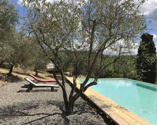 The Lazy Olive Glamping