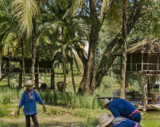 Four Seasons Resort Chiang Mai