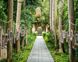 Four Seasons Resort Chiang Mai