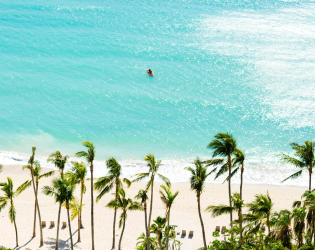 Hamilton Island Catseye Beach