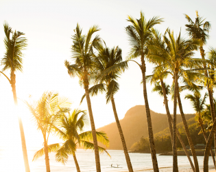 Hamilton Island Catseye Beach