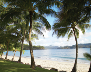 Hamilton Island Catseye Beach