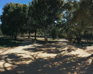 Roaring Camp