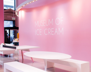 Museum of Ice Cream