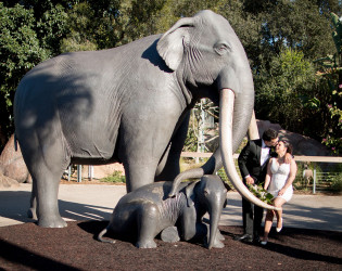 San Diego Zoo