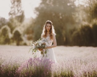 Woodinville Lavender