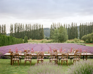 Woodinville Lavender