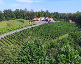 Potomac Point Winery & Vineyard