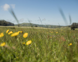 The Haven at Tomales