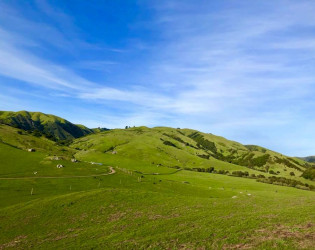 Cow Track Ranch