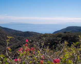 La Esperanza Ranch w/ Ocean VIew