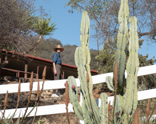 La Esperanza Ranch w/ Ocean VIew