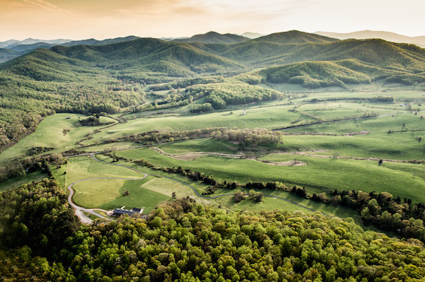 Pippin Hill Farm & Vineyards