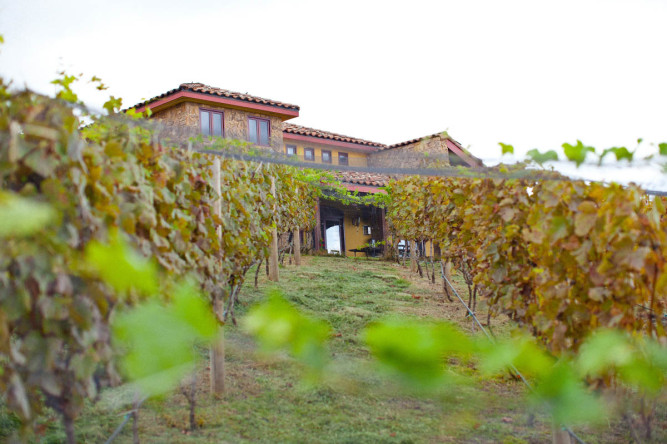 The Villa at Calasa Olive Farm