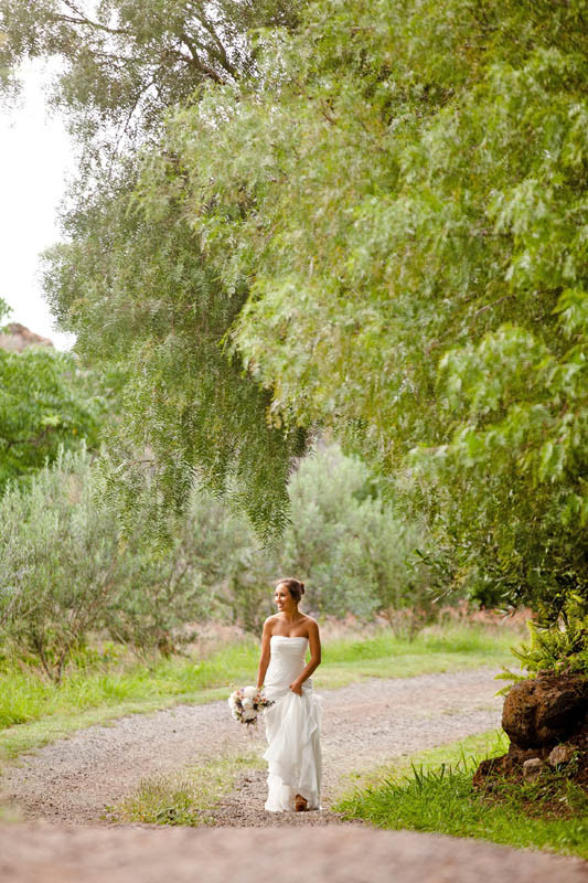 The Villa at Calasa Olive Farm