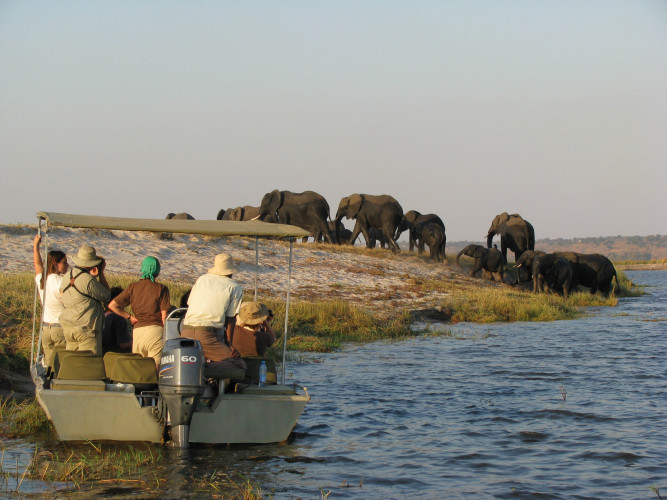 Zambezi Queen