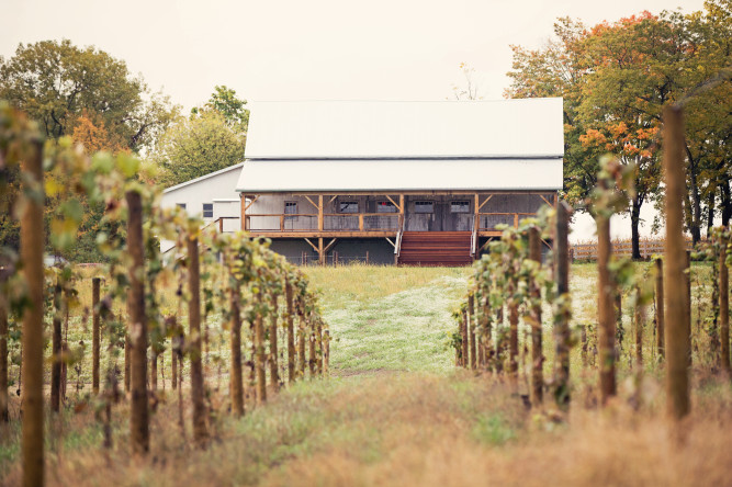 Hidden Vineyard Wedding Barn