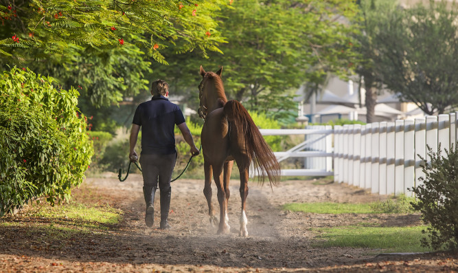 Dubai Polo & Equestrian Club