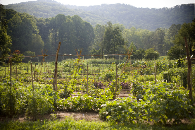 Blackberry Farm