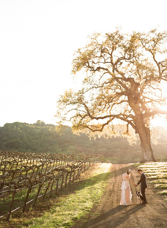 HammerSky Vineyards