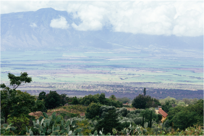 The Villa at Calasa Olive Farm