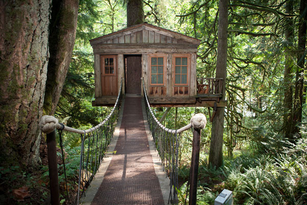 TreeHouse Point