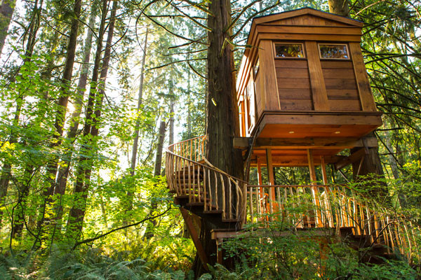 TreeHouse Point