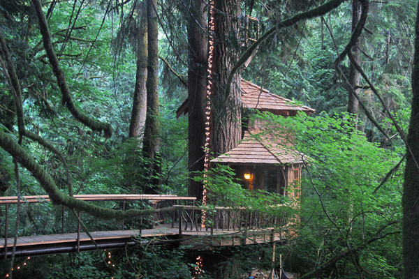 TreeHouse Point