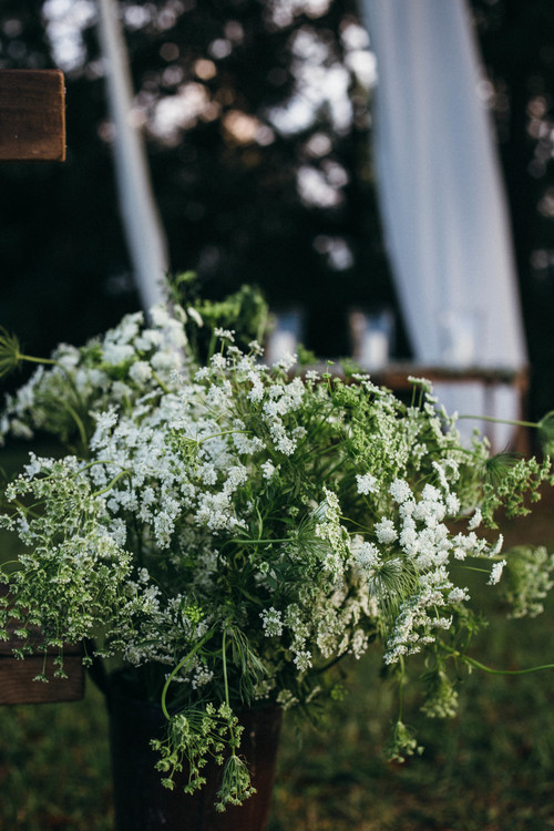 Sweet Meadow Farm and HomePlace