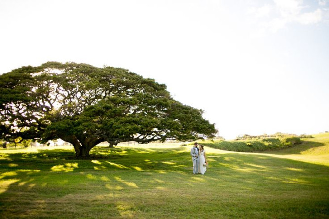 Hui No'eau Visual Arts Center - Maui