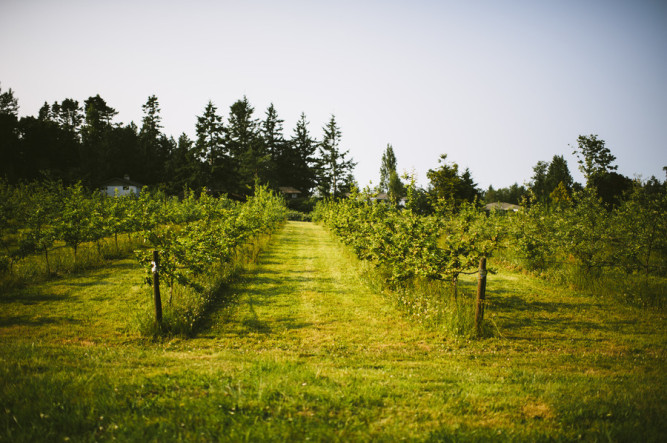 Sea Cider Farm & Ciderhouse