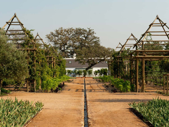 Babylonstoren