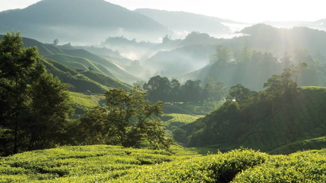 Four Seasons Resort Chiang Mai