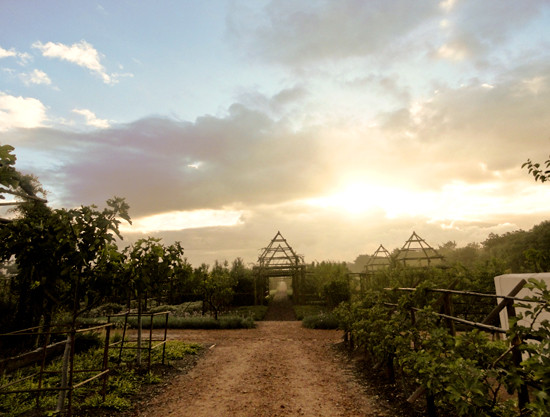 Babylonstoren