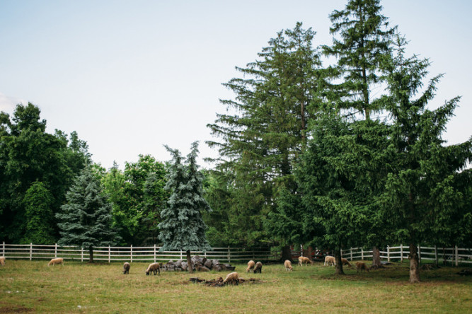 Ash Mill Farm Bed & Breakfast