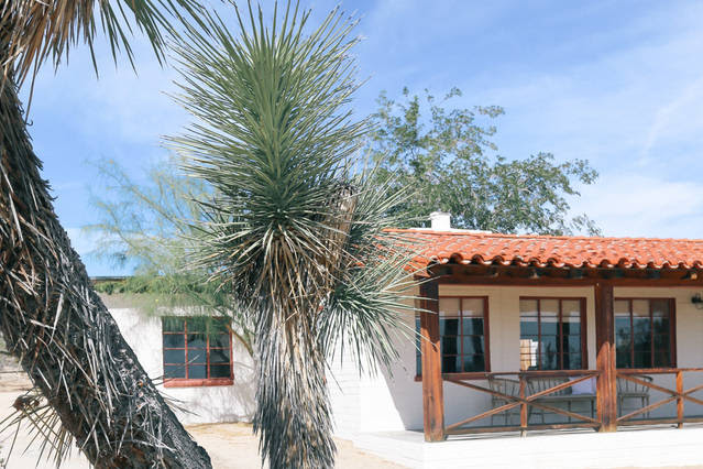 The Joshua Tree House