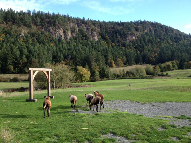 Bird's Eye Cove Farm