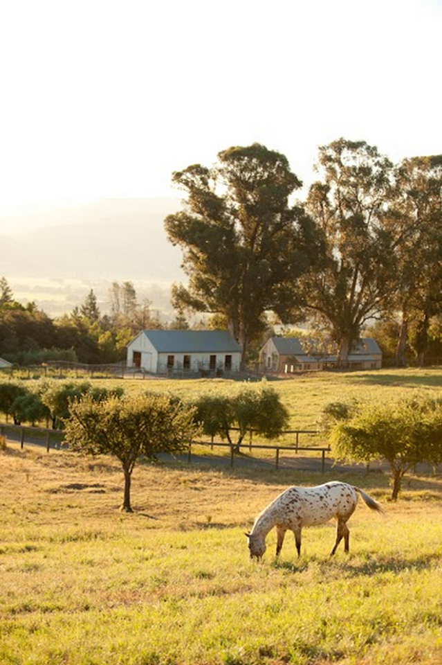 Farmstead at Long Meadow Ranch