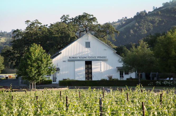 Robert Young Estate Winery