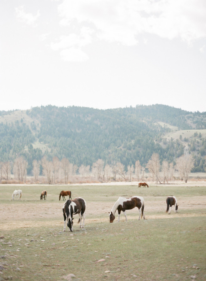 The Ranch at Rock Creek