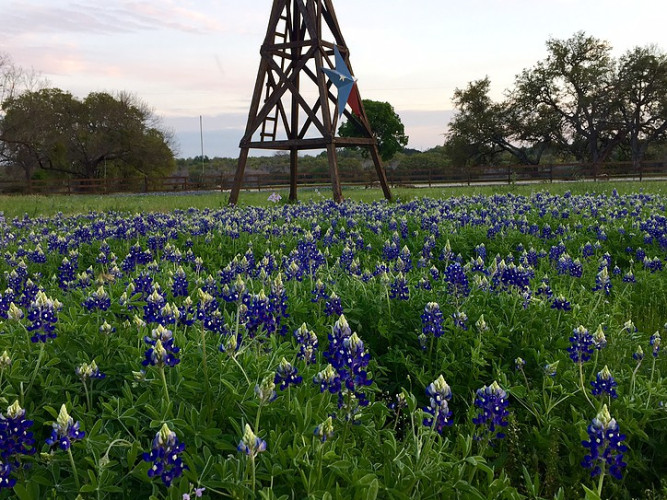 King River Ranch