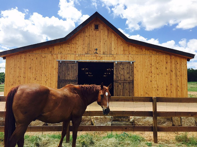 King River Ranch