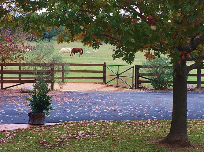 King River Ranch