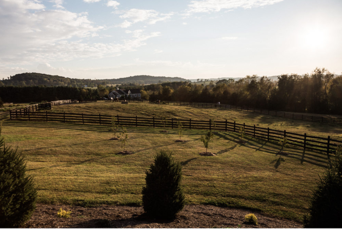 Hermitage Hill Farm and Stables