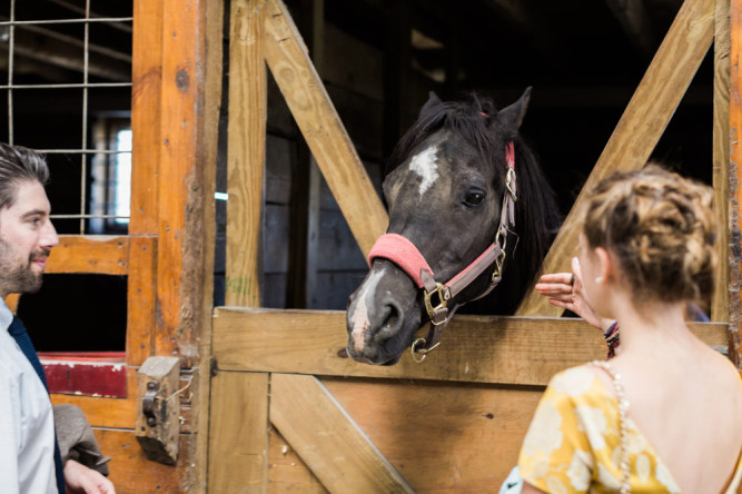 Hermitage Hill Farm and Stables