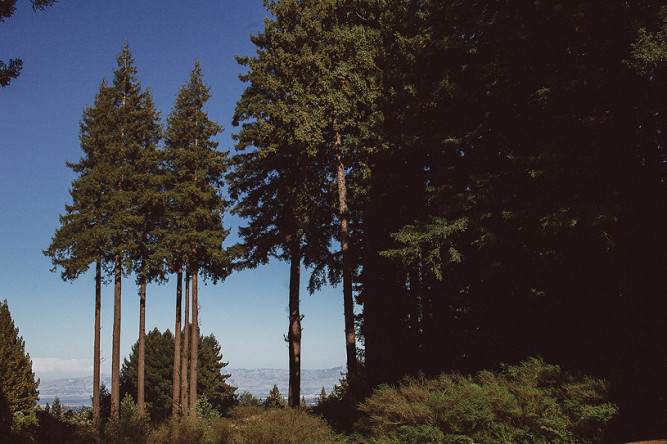 The Mountain Terrace