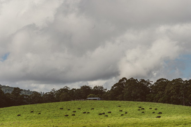 Spicers Peak Lodge