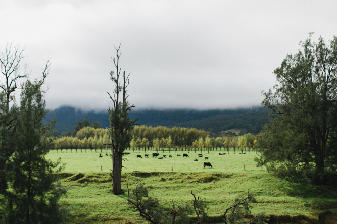 The Barn On Melross