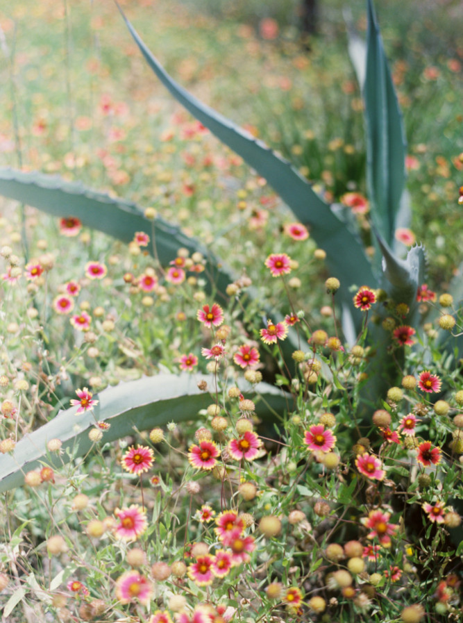 Pecan Springs Ranch